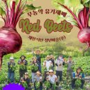 덕산푸드 이미지