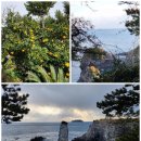 치유의숲 공중화장실 이미지