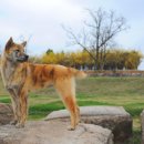 영구축산 이미지