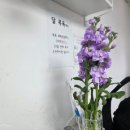 어서오시개 이미지