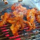 벌떡꼼장어