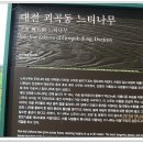 3차 대전둘레"산"길답사 (대전11코스) 이미지