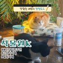 육감만족용인포곡점 | [용인 포곡 카페] 고양이와 함께하는 힐링 카페, 식물원 K 방문기
