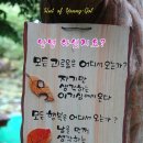 천수면 이미지