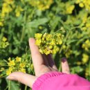 용머리주유소 | 🌊 제주렌트카 타고 떠난 해안도로 드라이브!완벽한 예약 방법도 함께 공유