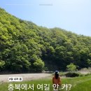 승우여행사 충북 레이크파크 둘레길 구독여행 후기