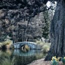 자연에 품 이미지