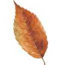 매표소 주차장 화장실 이미지