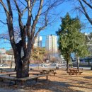 서서울어르신복지관 경로식당 | 마음이 뜨거워지는 곳을 발견했다 - 경로식당 자원봉사 첫 경험기