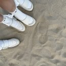 태권도담 | 이 여자들은 순간이동을 해요 (양양 -&gt; 에버랜드)
