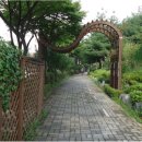 동작충효길 4코스 노량진길 이미지