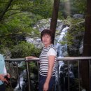 백학동권역 이미지