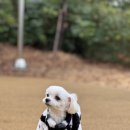 꽁이옷장 이미지