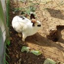 서창지구대 이미지