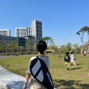 ❤️우리집 청소요정 ⭐️로보락⭐️ 구입 후기(#S9MaxVUltra #내돈내산 #할인꿀팁)
