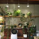 들꽃셀프세차장 이미지