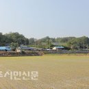 독바우 이미지