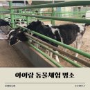 비루개 염소농장 | 아이랑 동물체험 명소 먹이주기·승마 다녀본 곳 모아봤어요