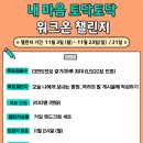 오봉리농장 | 워크온 걷기챌린지 함께 고성 가볼만한곳 여행 코스 추천 송지호해수욕장 가을서핑까지