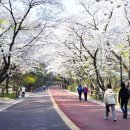 벽화마을 공중화장실 이미지