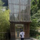 개포동월드 | 🐾 강아지와 함께한 강남 대모산 등산 후기 | 반려견 동반 산책 코스 추천