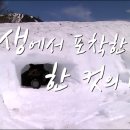 자연 다큐멘터리 감독 최기순의 사진 촬영 기획부터 마무리까지 이미지