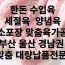 테이스티플랫폼 이미지