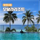조*용 - 영천시 창신1길 35 | 보홀 모달라 리조트 3박 숙박 후기 | 디럭스룸, 수영장, 돌조비치