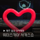 제주 이색체험 추천 ! 스카이워터쇼 낙타트래킹 내돈내산 후기 아이와함께 서커스 공연 추천