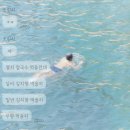 시네마노래짱 이미지