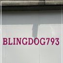 블링독793