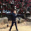 제주담투어 이미지