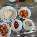 진안마이산장어 이미지