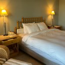 카페카바나 | 제주 신라호텔 정원 정망 쁘띠 카바나 예약 및 짬뽕 치킨 풀사이드바 루프탑 와인 타파스 이용 후기