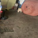 대부황금로 이미지