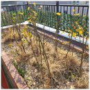 장안구치매안심센터 | 수원장안구요양원 전문 요양시설, 사랑꽃요양원 만족 후기