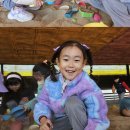 둥이목장 이미지