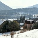 에델바이스 이미지