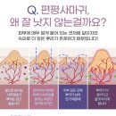 고려천일장 네이버블로그