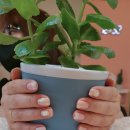 애린네일 이미지