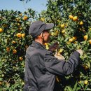 윤식농장 이미지