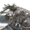 자라바위 펜션 이미지