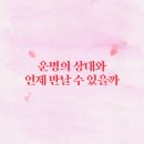 포스텔러 12개월 내로 펼쳐질 다음 연애 후기 +사주 MBTI, 다음 연애 카운트다운