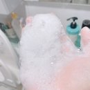 라메모리아 이미지