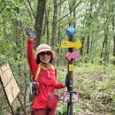 천반산길 이미지