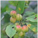 뚝길따라 이미지