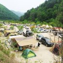 자작나무펜션 캠핑장 이미지