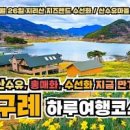 구례 지리산 치즈랜드 봄꽃 수선화는 끝! 이미지