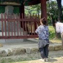국대이야기