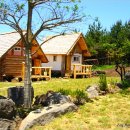 로그맨 하우스 이미지